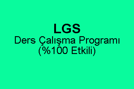 LGS Etkili Ders Çalışma Programı